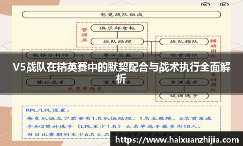 ob电竞平台